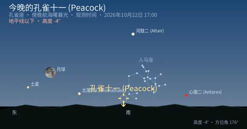 今晚的孔雀十一 (Peacock)