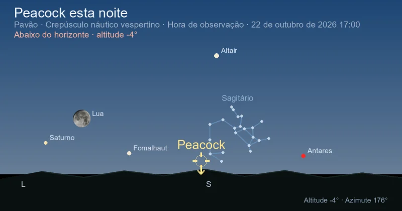 Peacock esta noite