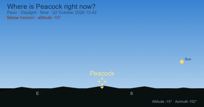 Where is Peacock right now?