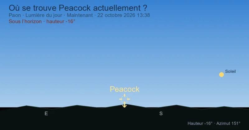 Où se trouve Peacock actuellement ?
