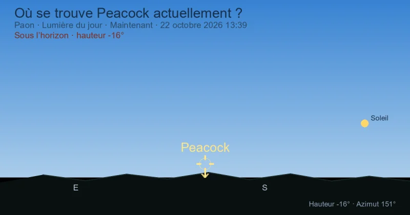 Où se trouve Peacock actuellement ?