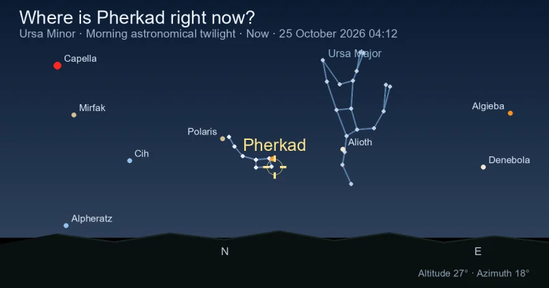 Where is Pherkad right now?