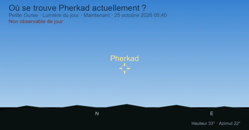 Où se trouve Pherkad actuellement ?
