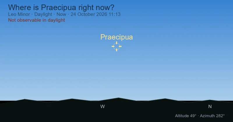 Where is Praecipua right now?