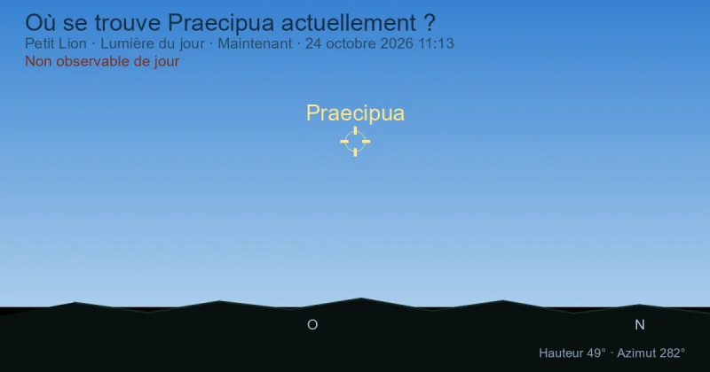 Où se trouve Praecipua actuellement ?