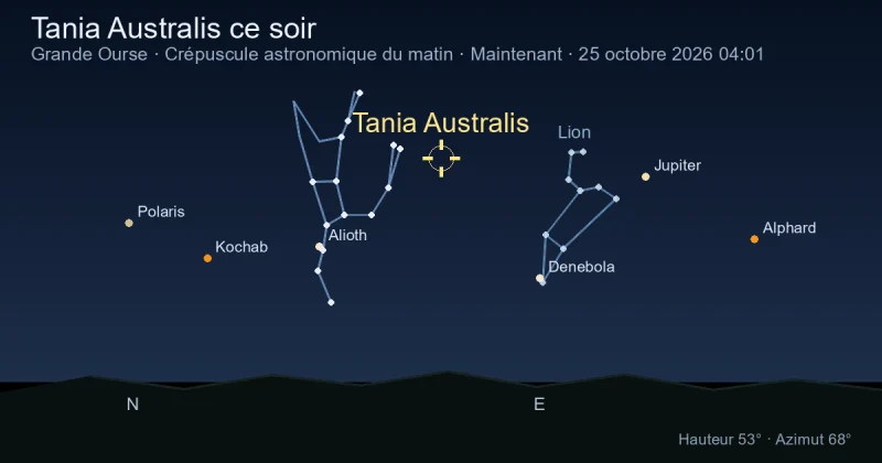 Tania Australis ce soir