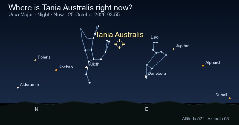 Where is Tania Australis right now?