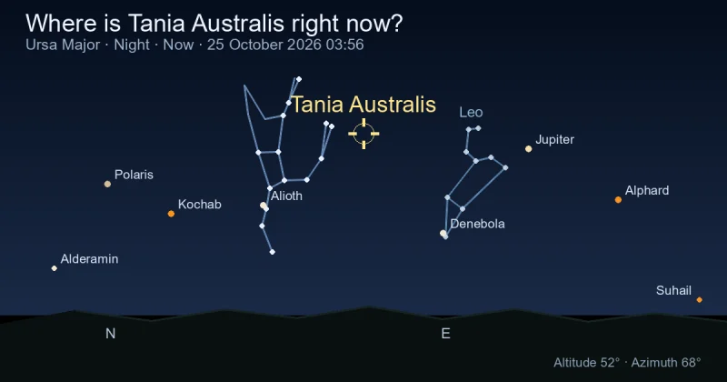 Where is Tania Australis right now?