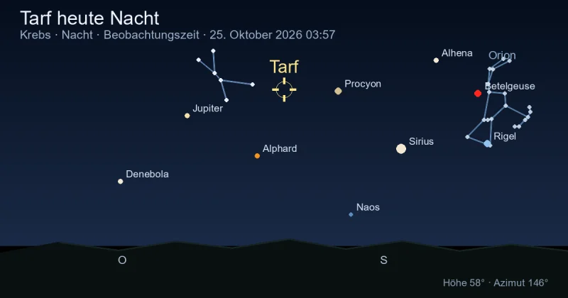 Tarf heute Nacht