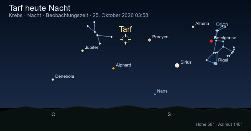 Tarf heute Nacht
