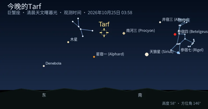 今晚的Tarf