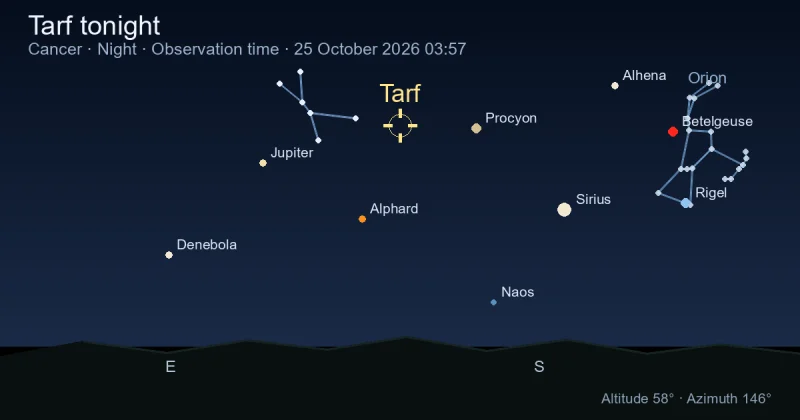 Tarf tonight
