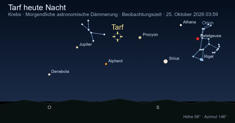 Tarf heute Nacht