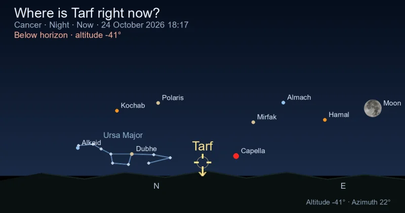 Where is Tarf right now?