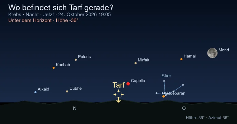 Wo befindet sich Tarf gerade?