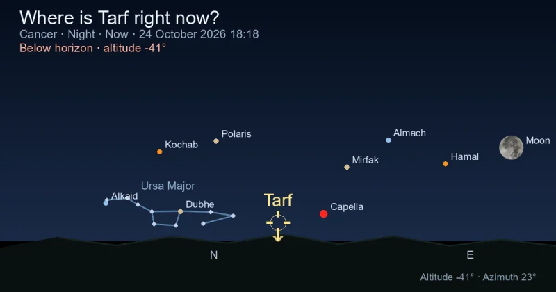 Where is Tarf right now?