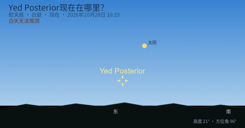 Yed Posterior现在在哪里？