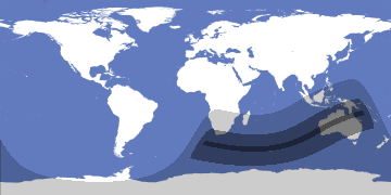 Hybrid Solar Eclipse 1999-02-16