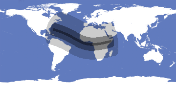 Hybrid Solar Eclipse 2013-11-03