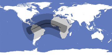 Annular Solar Eclipse 2049-05-31