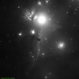 IC0434 — blue-filter image