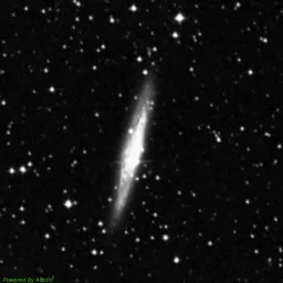 IC4837A — 蓝色滤镜图像