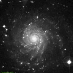IC5332 — 蓝色滤镜图像