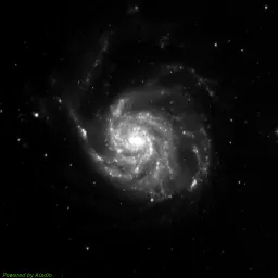 M101 photo taken with blue filter