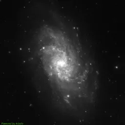 M33 photo taken with blue filter