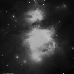 M42 photo taken with blue filter