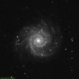 M74 photo taken with blue filter