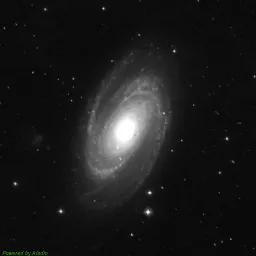 M81 photo taken with blue filter