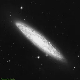 NGC0253 — 蓝色滤镜图像