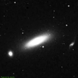 NGC1332 — blue-filter image