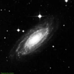NGC1425 — 蓝色滤镜图像