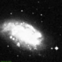 NGC1559 — 蓝色滤镜图像
