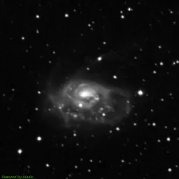 NGC1961 — blue-filter image