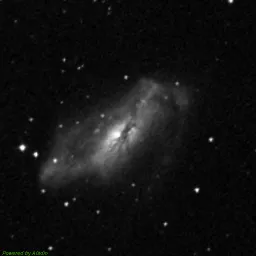 NGC2146 — blue-filter image