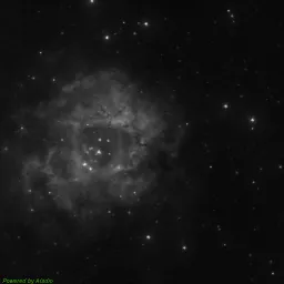 NGC2238 photo taken with blue filter