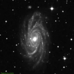 NGC2336 — blue-filter image