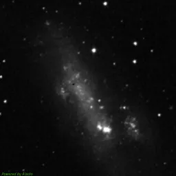 NGC2366 — blue-filter image