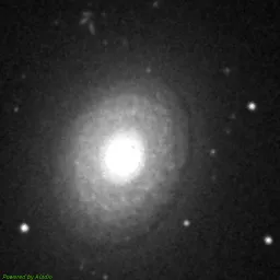 NGC2775 — blue-filter image