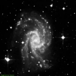 NGC2835 — blue-filter image