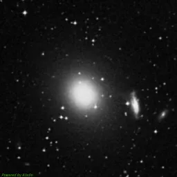 NGC2986 — blue-filter image