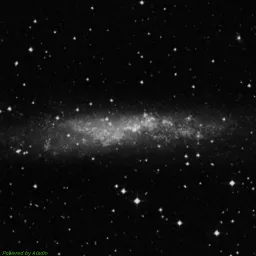NGC3109 — blue-filter image