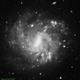 NGC5068 — blue-filter image