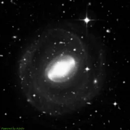 NGC5101 — blue-filter image