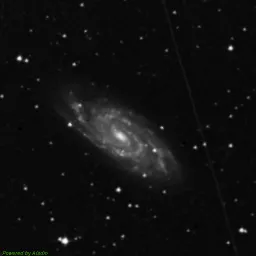 NGC6118 — blue-filter image