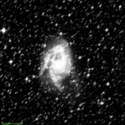 NGC6221 — blue-filter image