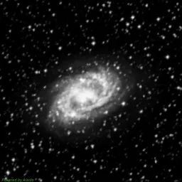 NGC6300 — blue-filter image
